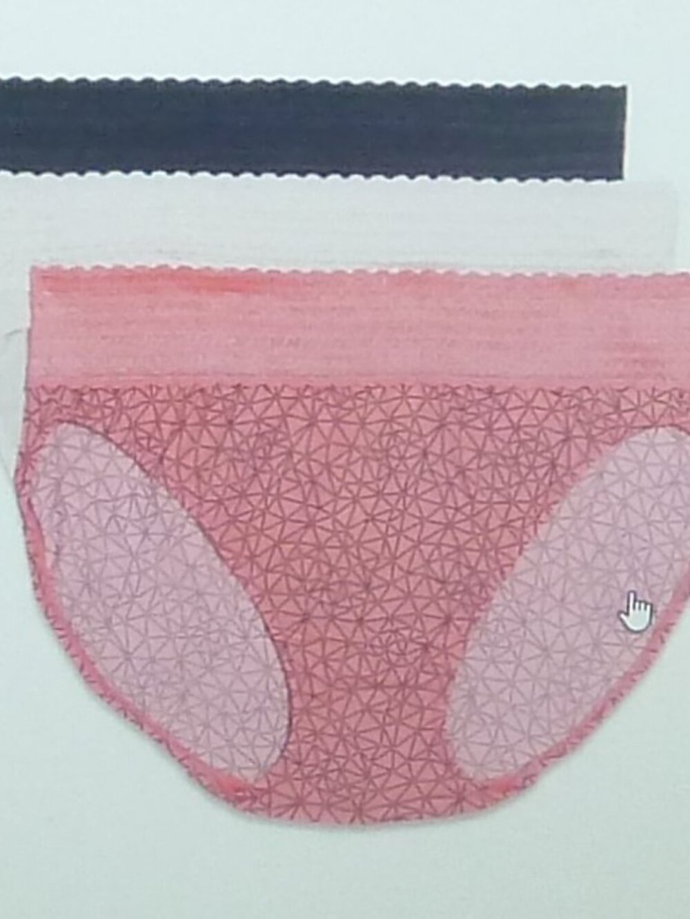 Pairs Blissful Benefits Panties by Warners Hi-Cut Microfiber with Lace